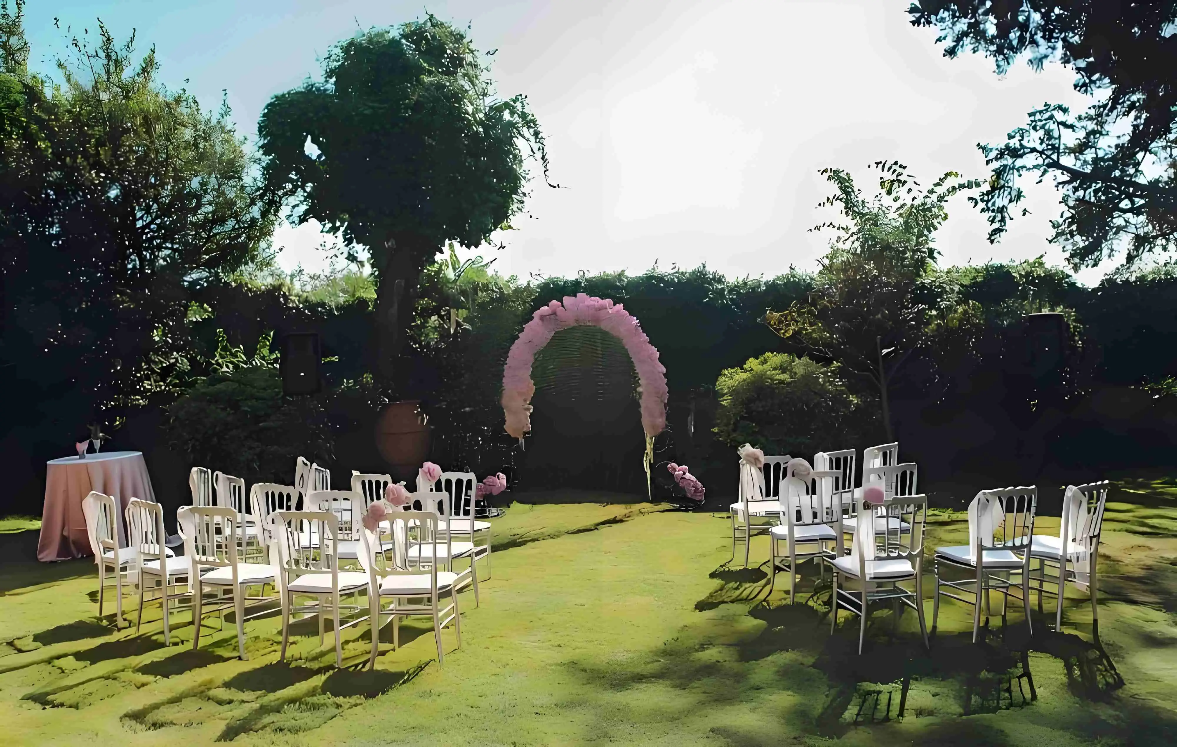 monobloc resin napoleon chair (3)(1).jpeg